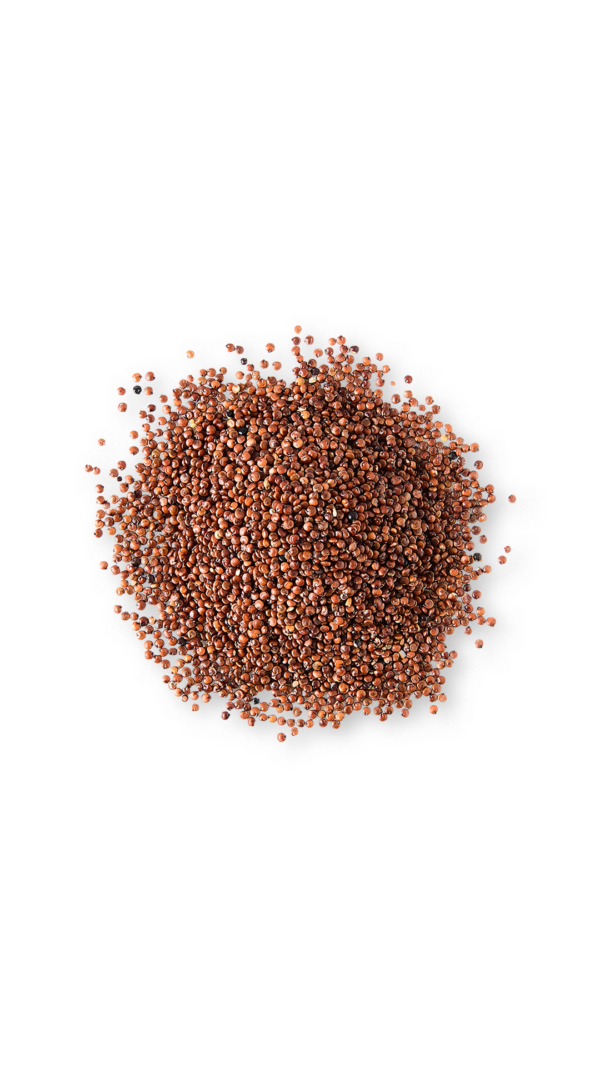 Graines de quinoa rouge