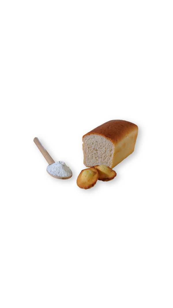 Farine Talca Stéa sans gluten