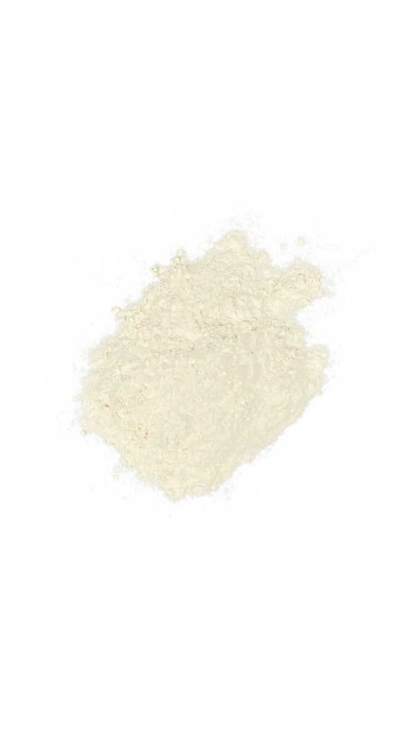 Farine Bio T65