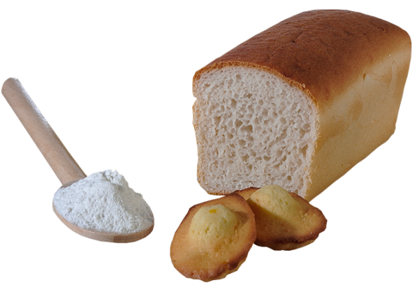 Farine Talca Stéa sans gluten